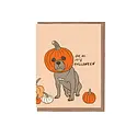 La Familia Green - LFG LFGGCHA0012 - Pumpkin Dog Halloween Card