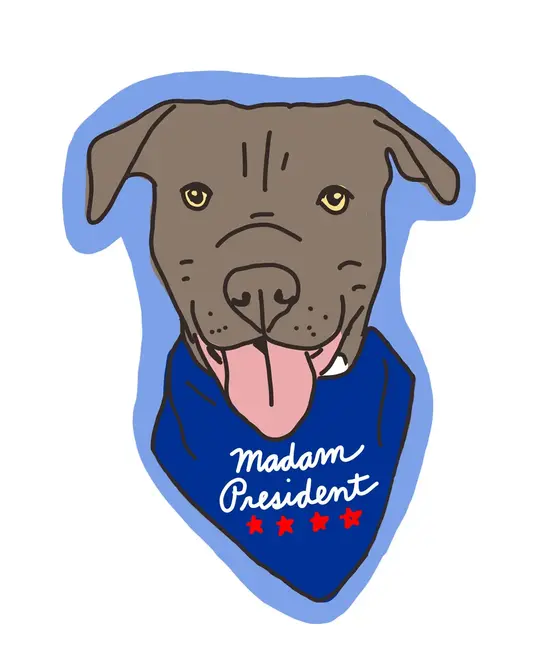 La Familia Green - LFG LFG ST - Madam President Kamala Sticker