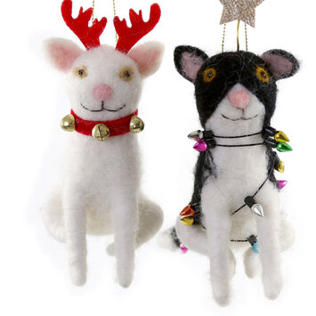Cody Foster - COF COF OR - Jingle Cat Ornament (Assorted)
