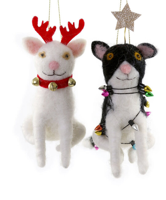 Cody Foster - COF COF OR - Jingle Cat Ornament (Assorted)