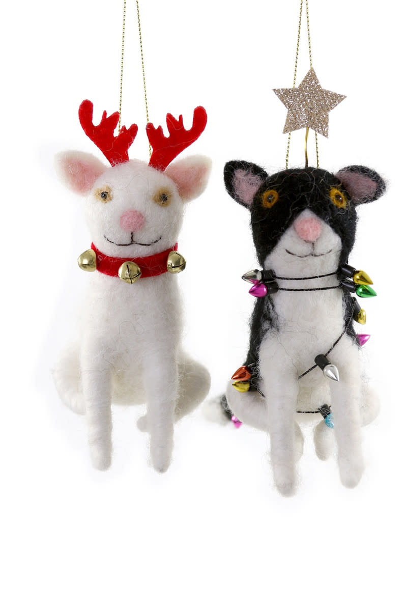 Cody Foster - COF COF OR - Jingle Cat Ornament (Assorted)