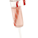 Cody Foster - COF COF OR - Peppermint Holiday Cocktail Ornament