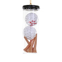 Cody Foster - COF COF OR - Golf Balls & Tees Ornament