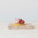 Creative Co-Op - CCO CCO OR - Embellished Glass Hermit Crab Ornament