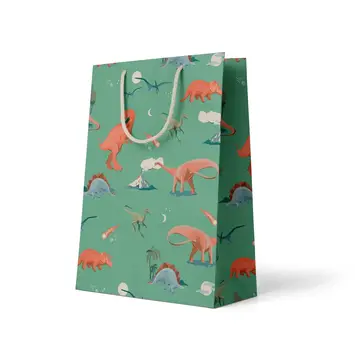 Amy Heitman Illustration - AHI AHI GBME - Dino Medium Gift Bag