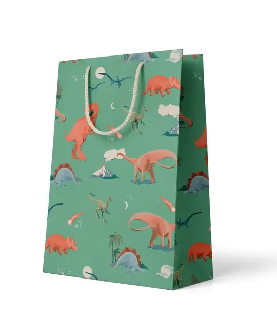 Amy Heitman Illustration - AHI AHI GBME - Dino Medium Gift Bag