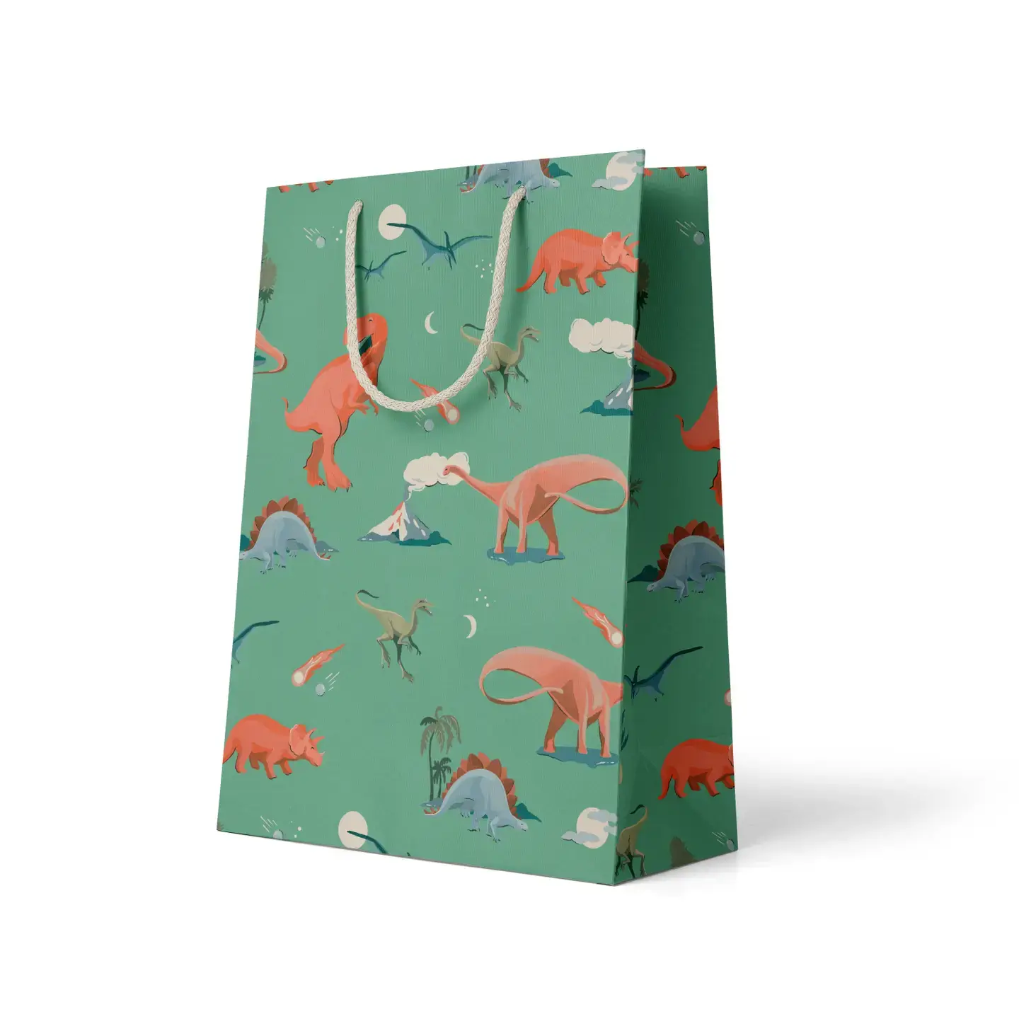 Amy Heitman Illustration - AHI AHI GBME - Dino Medium Gift Bag