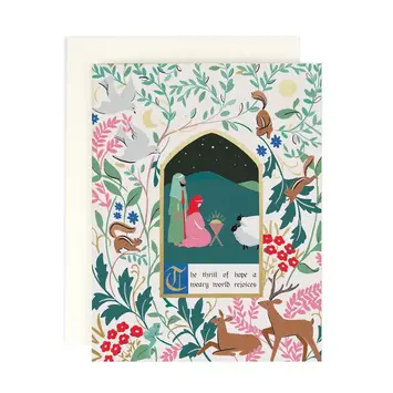 Amy Heitman Illustration - AHI AHI NSHO - Thrill of Hope Boxed Note Set