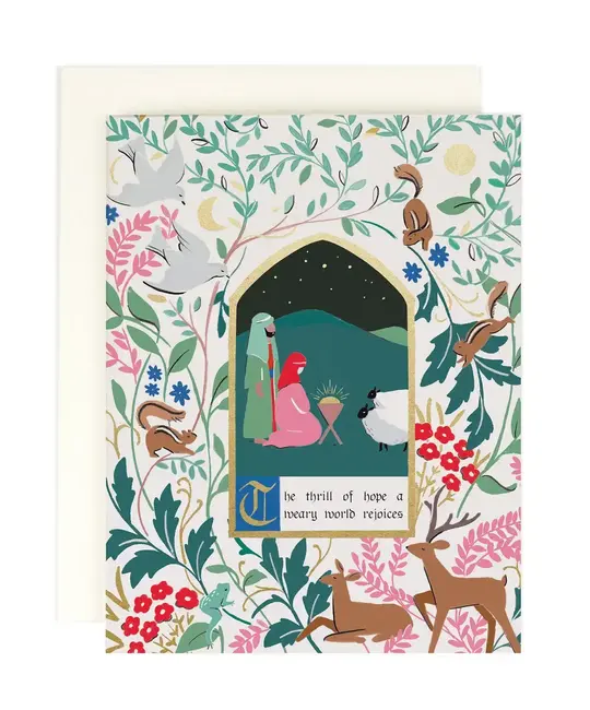Amy Heitman Illustration - AHI AHI NSHO - Thrill of Hope Boxed Note Set