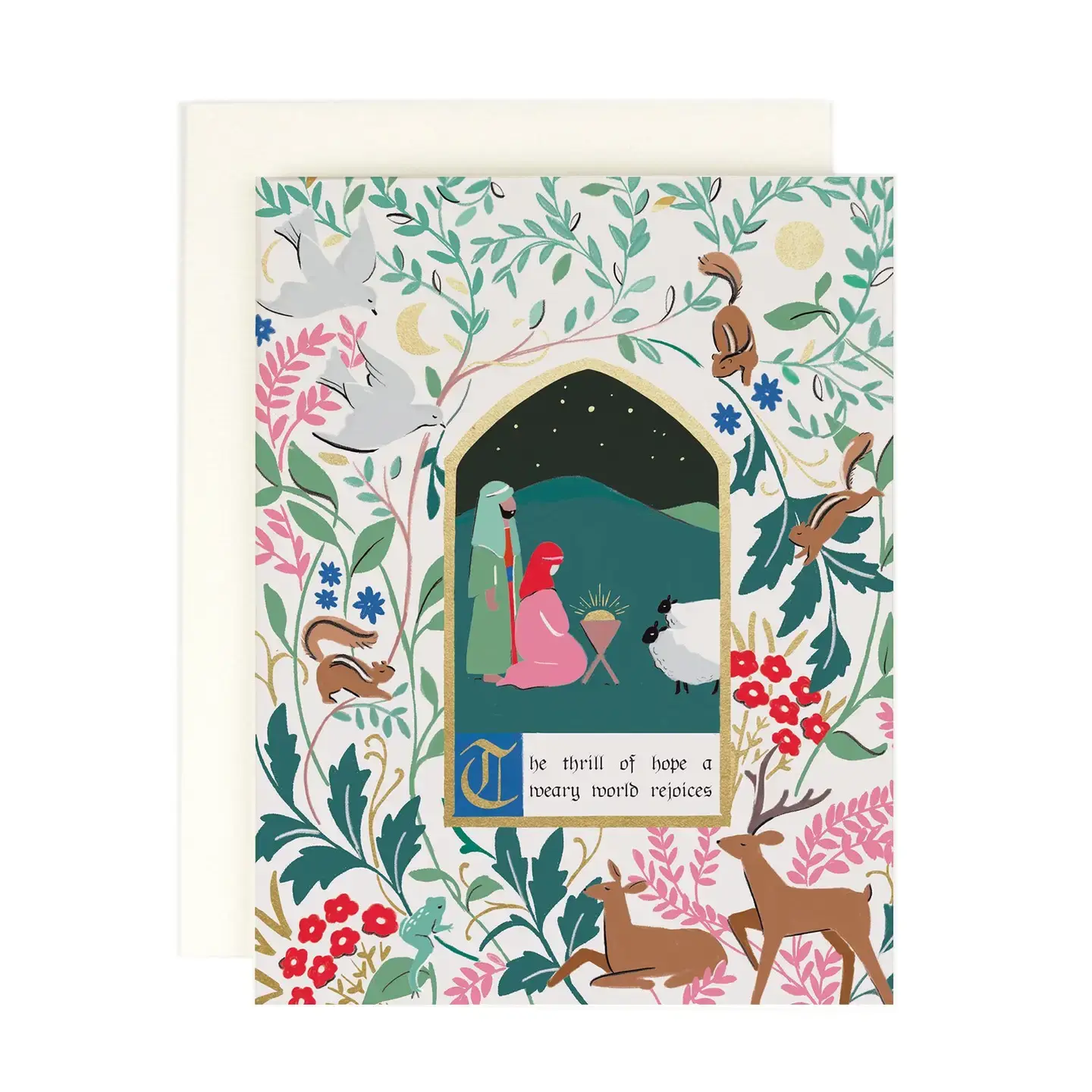 Amy Heitman Illustration - AHI AHI NSHO - Thrill of Hope Boxed Note Set
