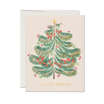 Red Cap Cards - RCC RCC NSHO - Festive Evergreen Season's Greeting Boxed Note Set