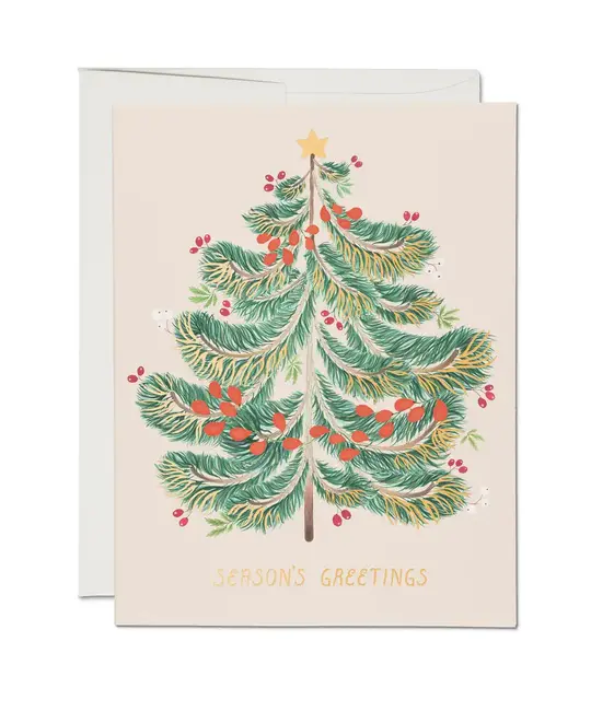 Red Cap Cards - RCC RCC NSHO - Festive Evergreen Season's Greeting Boxed Note Set