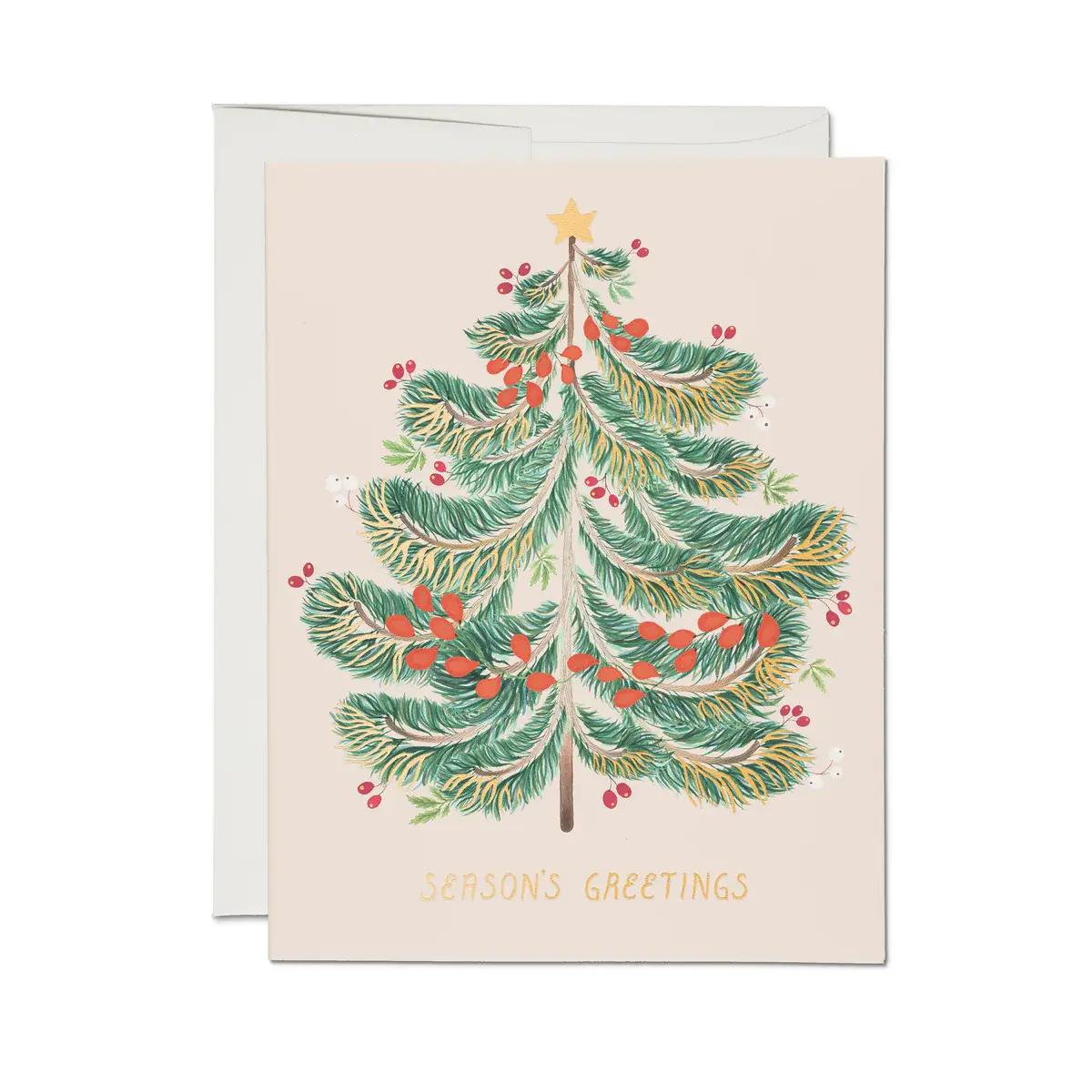Red Cap Cards - RCC RCC NSHO - Festive Evergreen Season's Greeting Boxed Note Set