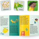 Chronicle Books - CB CB GP - Did You Fart? A Matching & Memory Game