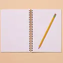 and Here We Are - AHW AHW NBLI - Gingham Picnic Spiral Notebook, lined