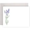E. Frances Paper Studio - EF EF NSBL - Lavender Flat Notes Boxed, Set of 8
