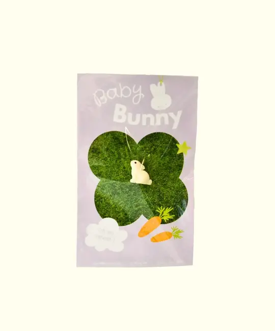 Riley Grae - RG RG GI - Baby Bunny Tiny Figurine