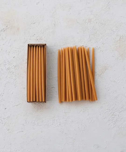 Creative Co-Op - CCO CCO CATA - Camel Thin Taper Candle (1/2" Round)  Box Set of 24, Unscented 10" tall