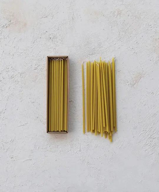 Creative Co-Op - CCO CCO CATA - Chartreuse Ultra Thin Taper Candle (1/4" Round), Box Set of 36, Unscented 10" tall