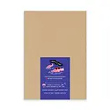 Party of One - POO POO NP - Swan Bro Notepad