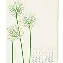 Snow and Graham - SG SG CAWA - 2026 Wall Calendar