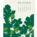 Snow and Graham - SG SG CAWA - 2026 Wall Calendar