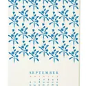 Snow and Graham - SG SG CAWA - 2026 Wall Calendar