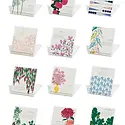 Snow and Graham - SG SG CADE - 2026 Desk Calendar