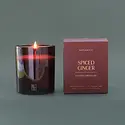 Botanica - BOT BOT CALA - Spiced Ginger 12 oz. Holiday Candle