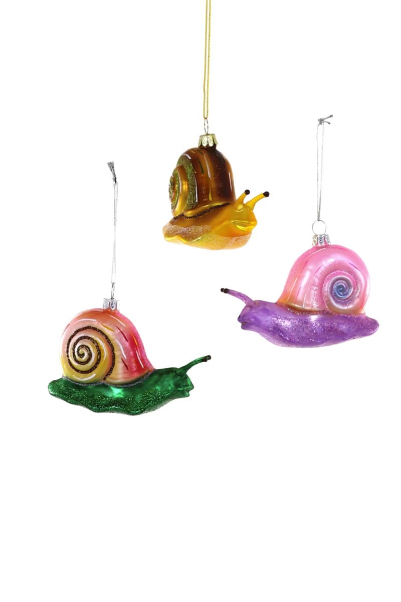 Cody Foster - COF COF OR - Fern Snail Ornament (Assorted)