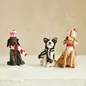 Creative Co-Op - CCO CCO OR - Wool Felt Winter Dog Ornament (3 Assorted Styles: Ski, Lights, Gift)