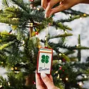 Furbish Studio - FS FS OR - Boston Shamrock Matchbook Ornament