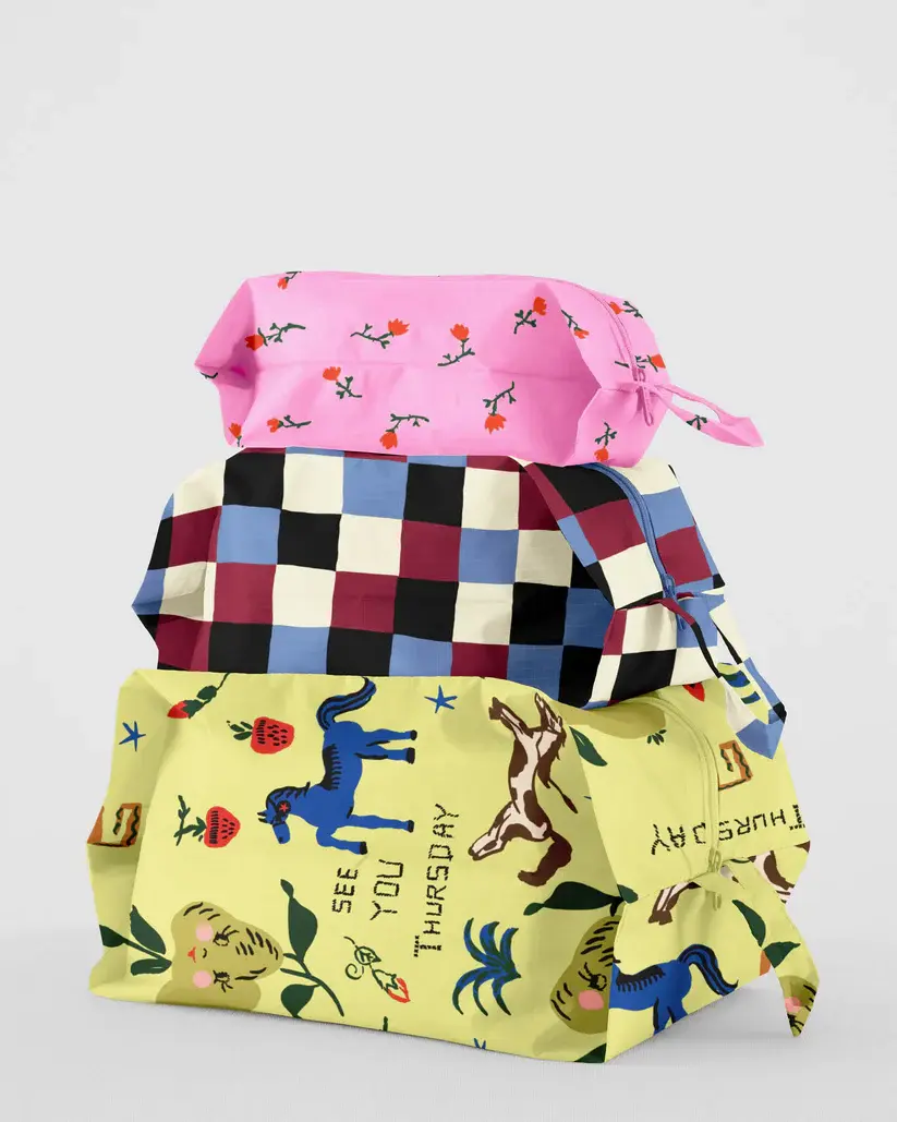 Baggu - BA BA BAG - 3D Zip Pouch Set, Painted Prairie