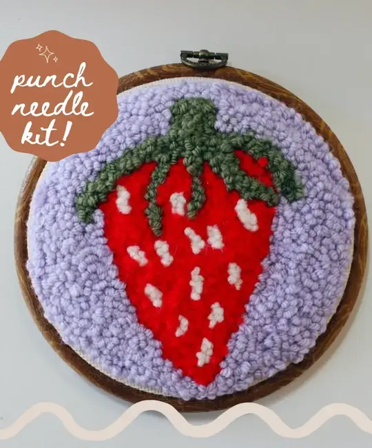 Homebody DIY - HOD HOD DIY - Strawberry Beginner Diy Punch Needle Kit