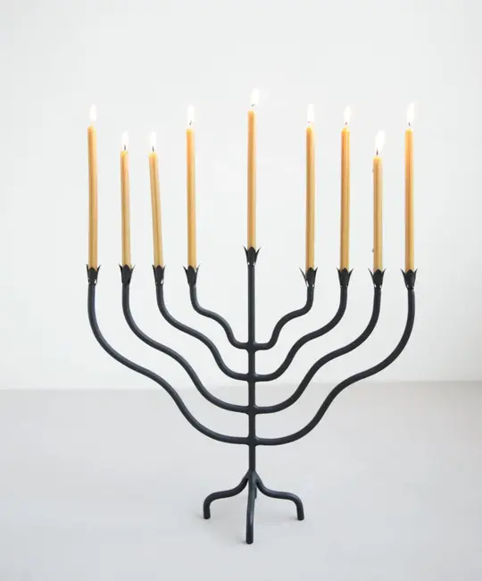 The Floral Society TFS HGDE - Beacon Menorah