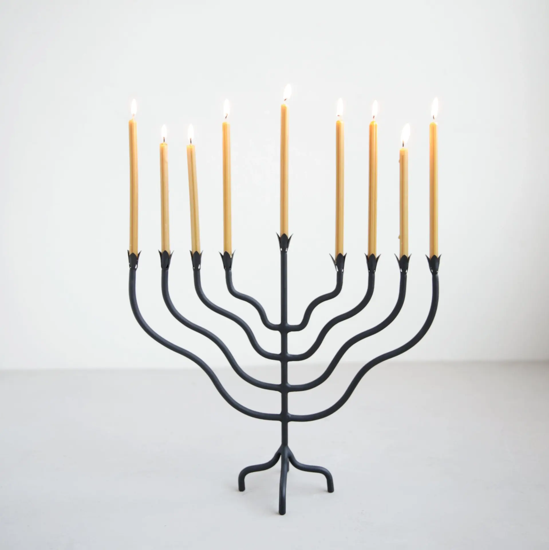 The Floral Society TFS HGDE - Beacon Menorah