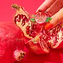 Jenny Lemons - JL JL ACHA - Mini Pomegranate Claw Hair Clip