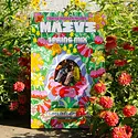 Maeve By Seattle Chocolate - MSC MSC FAD - Spring Mix Bonbon Box