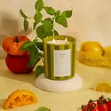 Brooklyn Candle Studio - BCS BCS CALA - Tomato Vine Candle Amalfi Coast Collection