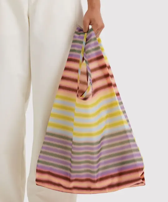 Baggu - BA BA BAG - Gradient Stripe Multi Standard Baggu Reusable Bag