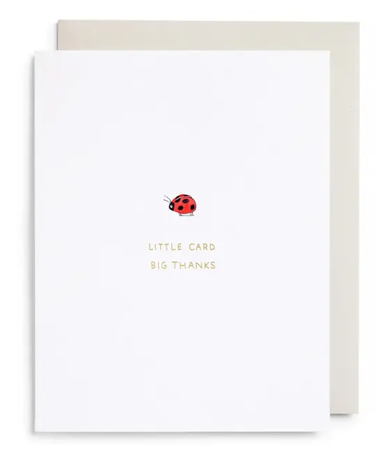 E. Frances Paper Studio - EF EFGCTY0028 - Little Card Big Thanks Ladybug Thank You Card