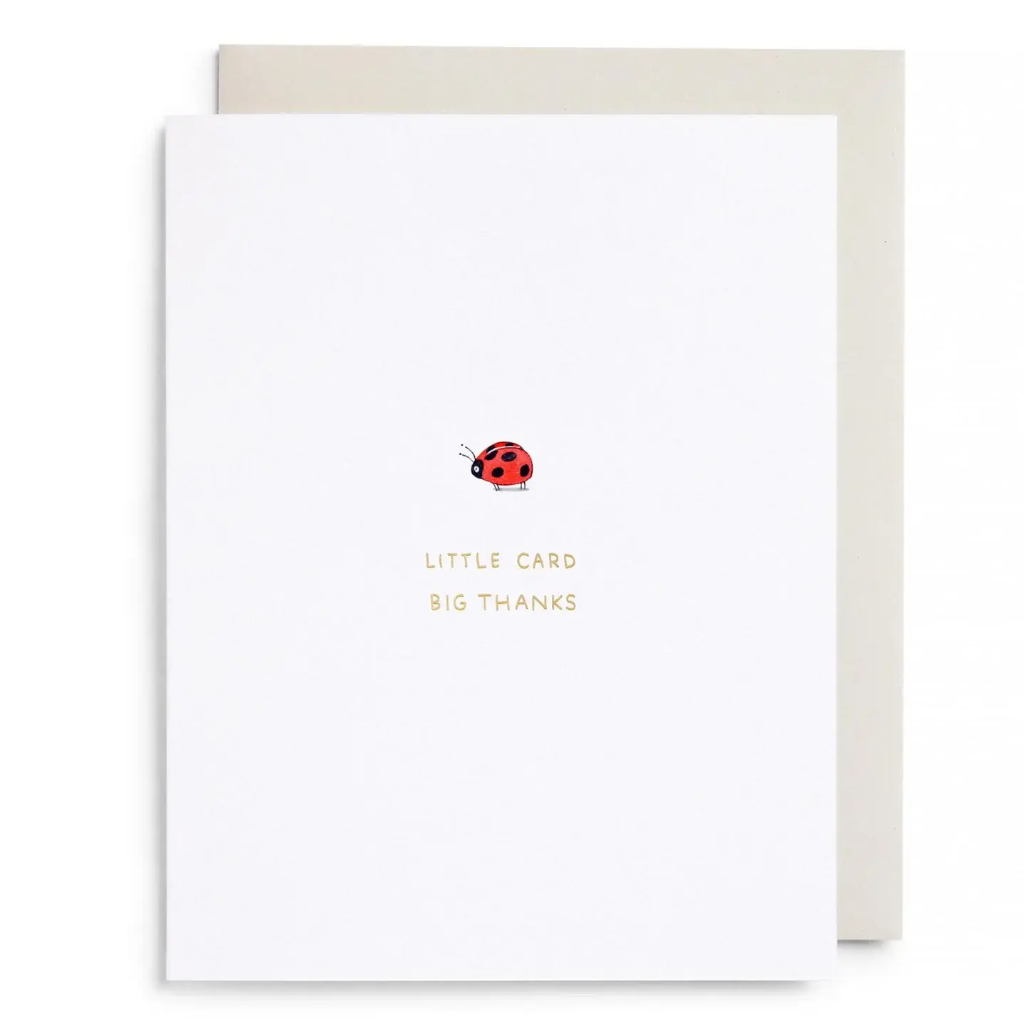 E. Frances Paper Studio - EF EFGCTY0028 - Little Card Big Thanks Ladybug Thank You Card