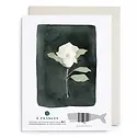 E. Frances Paper Studio - EF EFGCSY - White Flower Sympathy Card