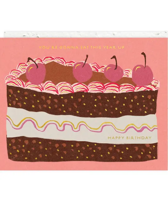 Seedlings - SED SEDGCBI0084 - Slice of Cake Birthday Card