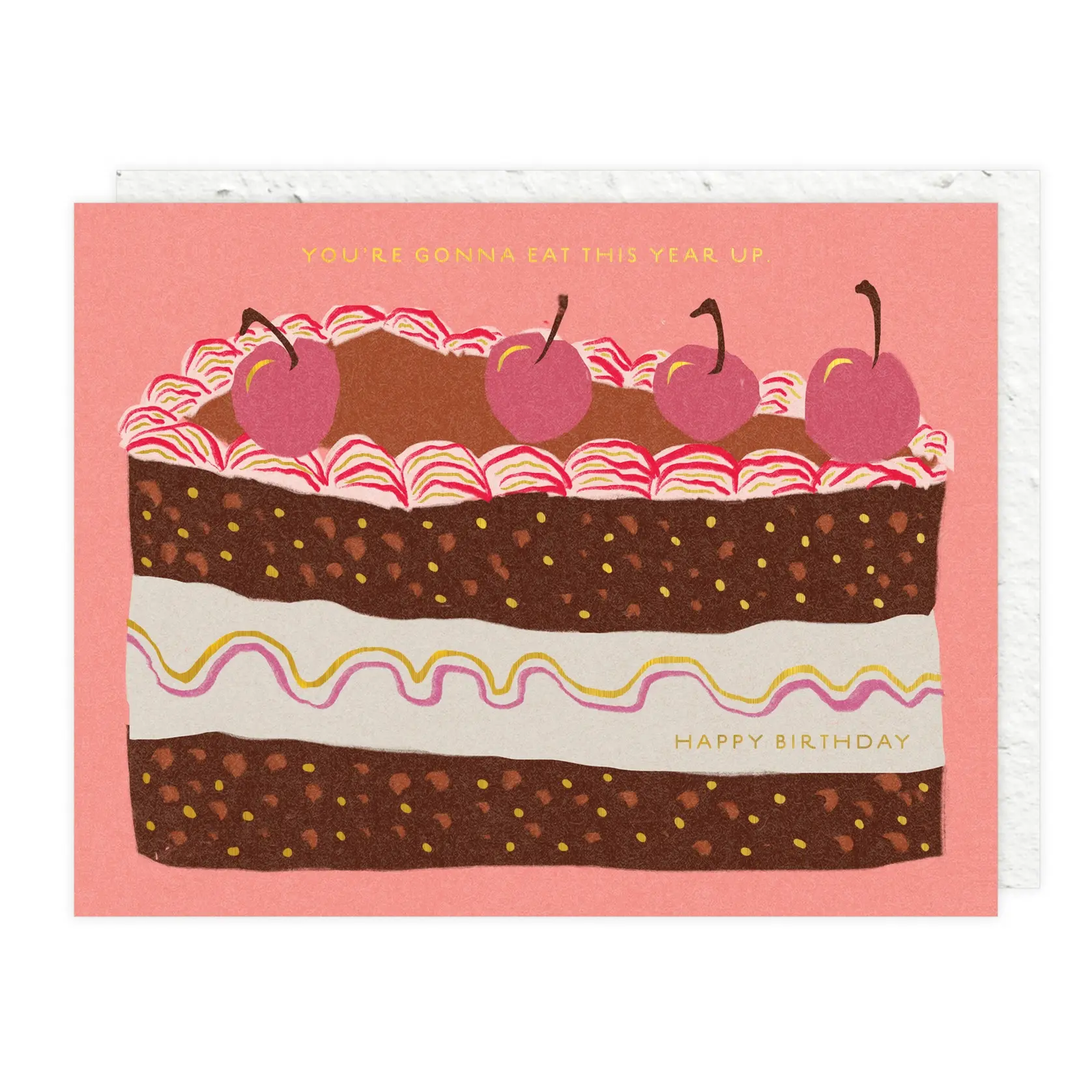 Seedlings - SED SEDGCBI0084 - Slice of Cake Birthday Card