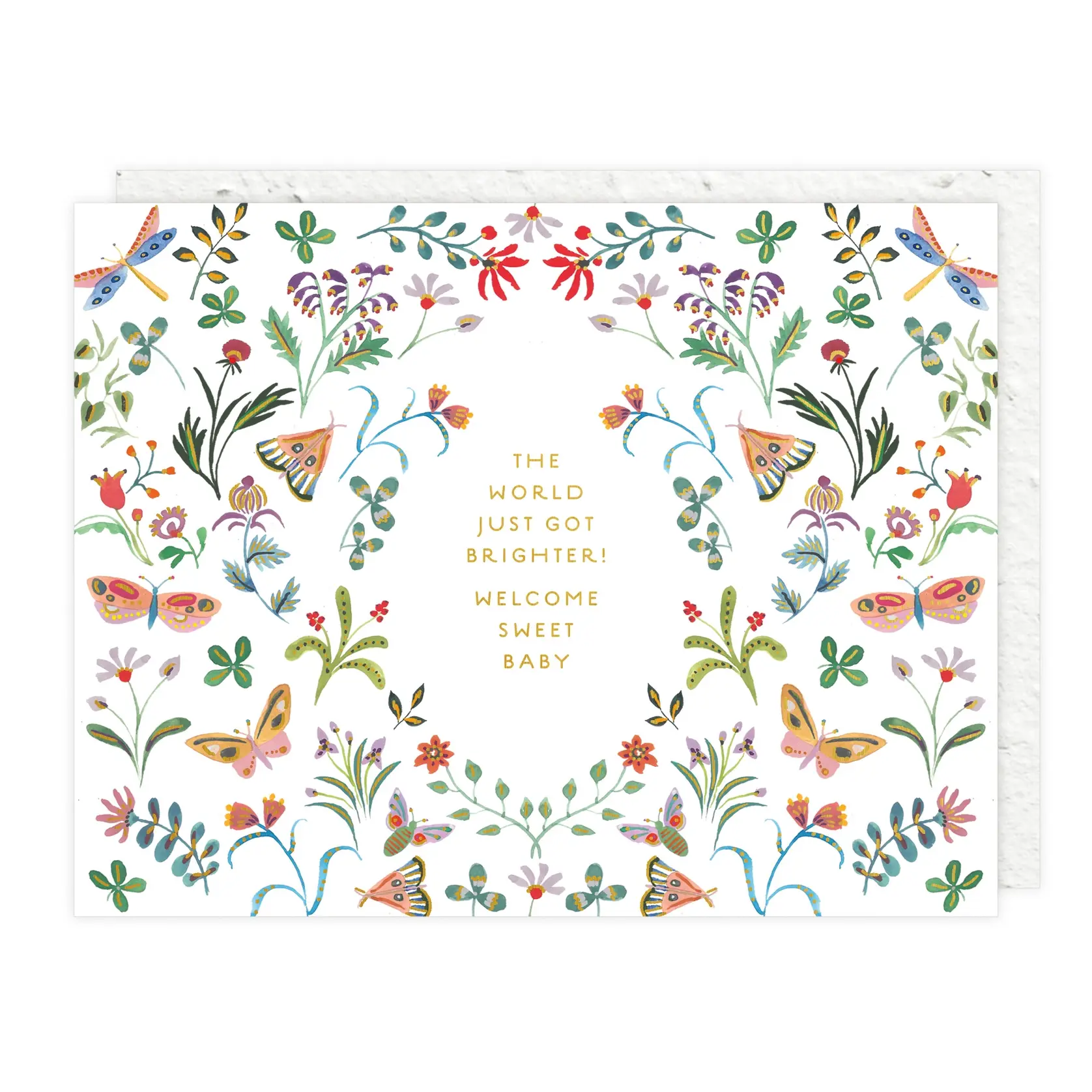 Seedlings - SED SEDGCBA0018 - World Just Got Brighter Butterfly Garden Baby Card