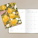 Seedlings - SED SED AG17 - 2027 Lemons On The Go Monthly Planner 17-Month Agenda