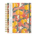 Seedlings - SED SED AG17 - 2027 Lemon Drops Spiral Planner 17-Month Agenda