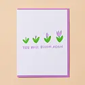 and Here We Are - AHW AHWGCMI0018 - You Will Bloom Again Tulip Card