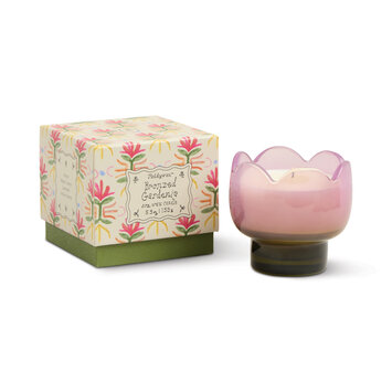 Paddywax - PA PA CALA - Tulip Glass Candle, Bronzed Gardenia Purple